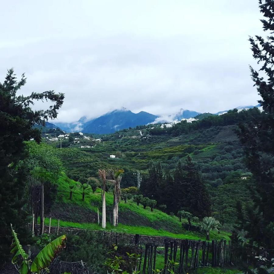 フリヒリアナ Antigua Finca De Ayo Y Karinaヴィラ エクステリア 写真